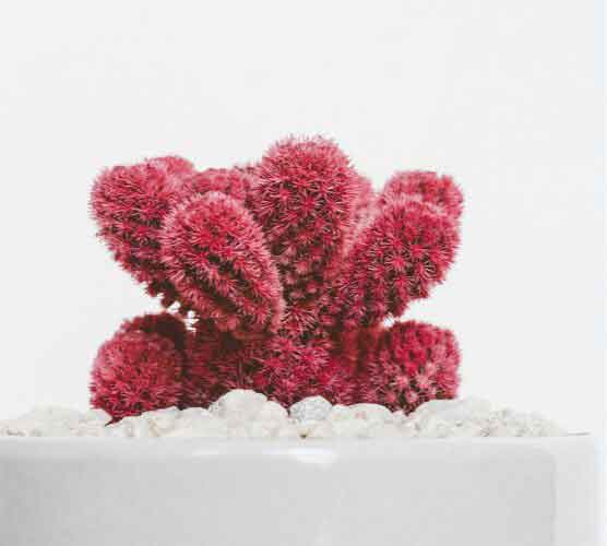 免费短信轰炸机