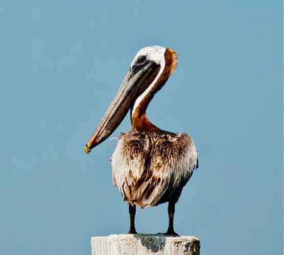 手机号轰炸业务网